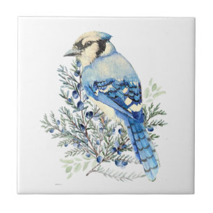 Watercolor Blue Jay Bird Blueberries Country Art Ceramic Tile