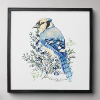 Watercolor Blue Jay Bird Blueberries Country Art