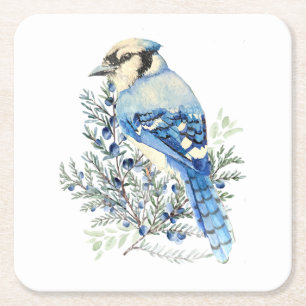Watercolor Blue Jay Bird Blueberries Country Art Square Paper Coaster