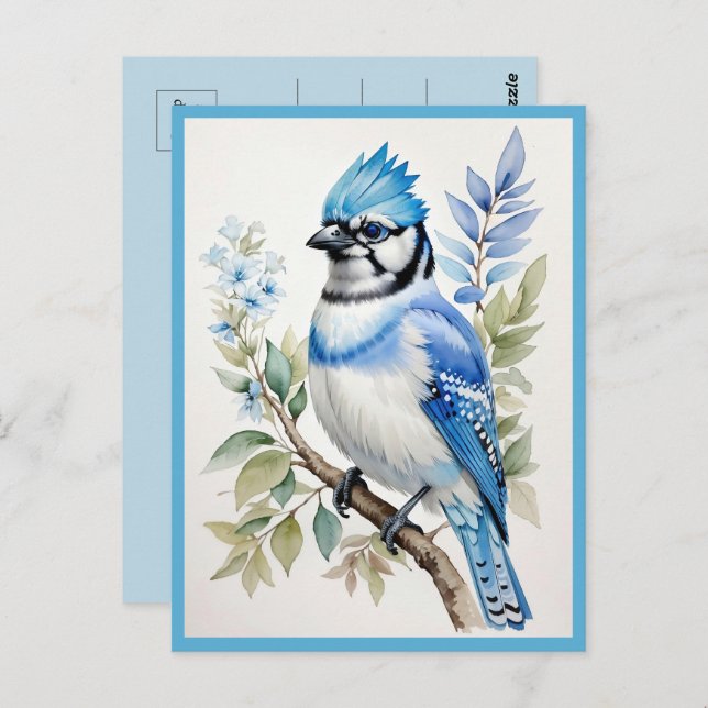 Watercolor Blue Jay Bird on Tree Branch Postcard (Front/Back)