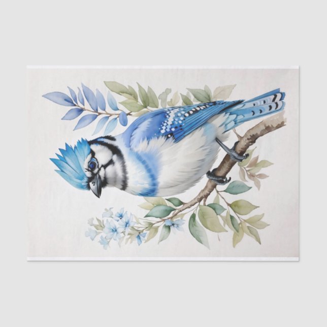 Watercolor Blue Jay Bird on Tree Branch Tissue Paper (Front)