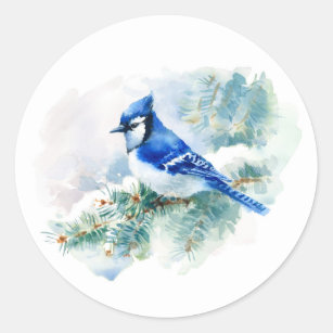 Blue Jay Bird T-Shirt, Zazzle