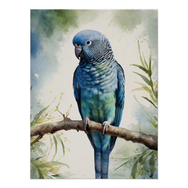 Watercolor Blue Parakeet Eucalyptus Tree Poster (Front)