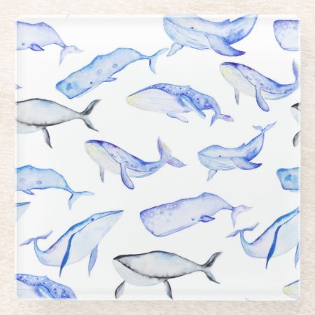 Watercolor Blue Whale Pattern Glass Coaster