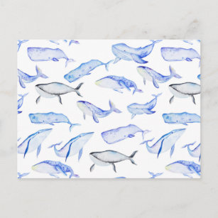 Watercolor Blue Whale Pattern Postcard