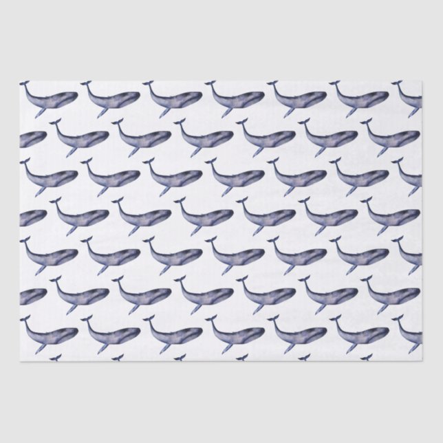 Watercolor blue whale tissue paper (Front)