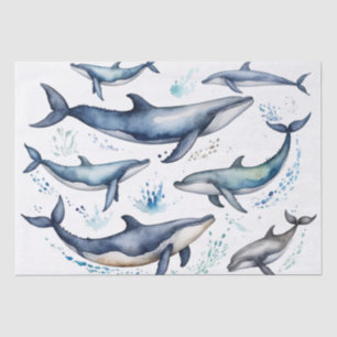 Watercolor Blue Whales and dolphins , sea animal Tissue Paper