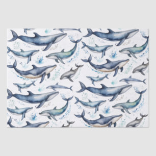 Watercolor Blue Whales and dolphins , sea animal Tissue Paper