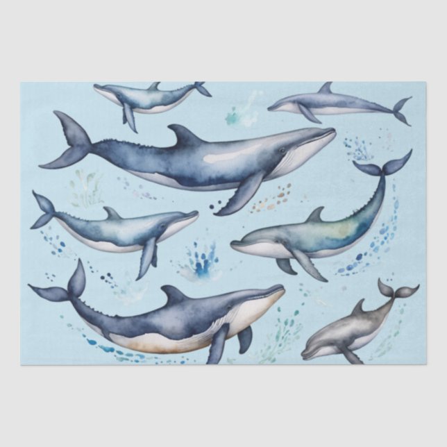 Watercolor Blue Whales and dolphins , sea animal   Tissue Paper (Front)