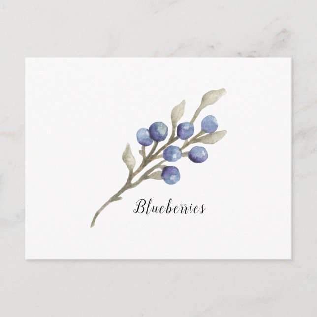 Watercolor Blueberries Botanical Postcard (Front)