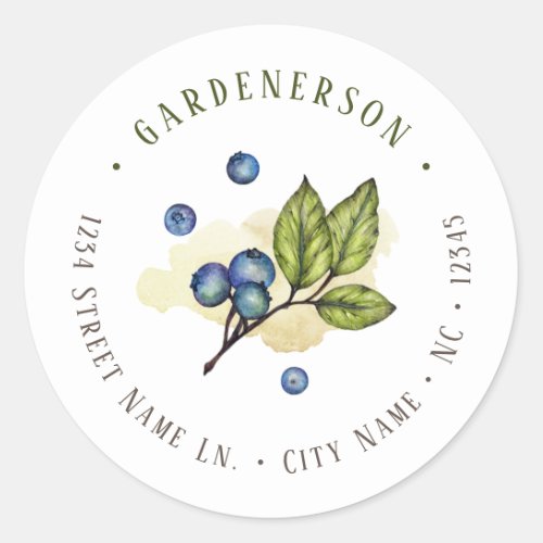 Watercolor Blueberries  Classic Round Sticker