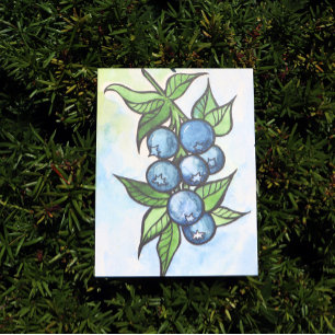 Watercolor Blueberries Postcard