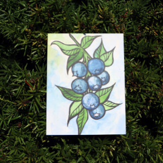 Watercolor Blueberries Postcard