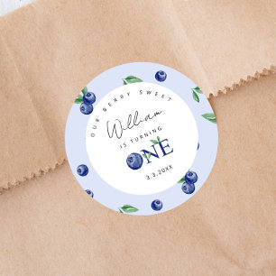 Watercolor Blueberry boy 1st birthday Classic Round Sticker