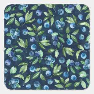 Watercolor Blueberry Dark Background Pattern Square Sticker
