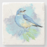 Watercolor Bluebird Garden Bird Art Stone Coaster at Zazzle