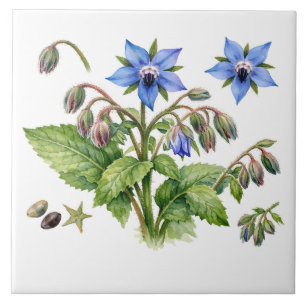 Watercolor Borage Herb Flowers and Leaves  Ceramic Tile