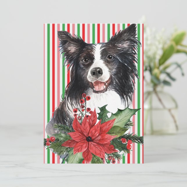 Watercolor Border Collie With Poinsettia Card (Standing Front)