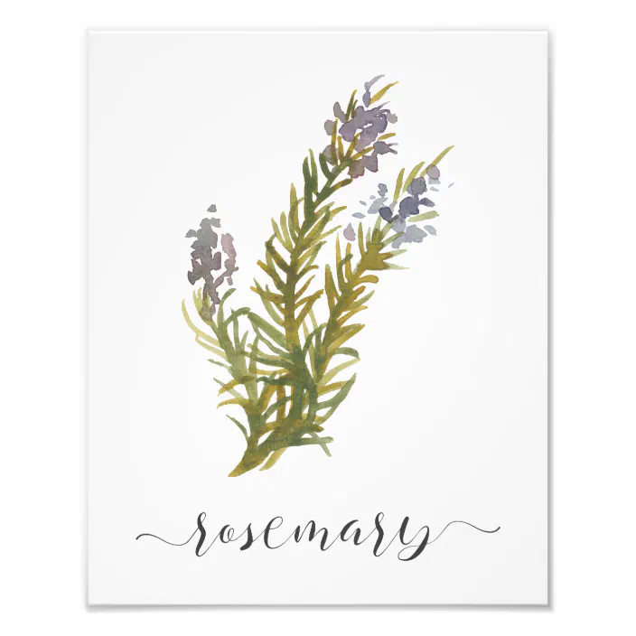 Thyme Herb Printable Wall Art Kitchen Decor Watercolor Herb Print Chalkboard Herb Prints Kitchen Herb Printable Watercolor Thyme Chalkboard