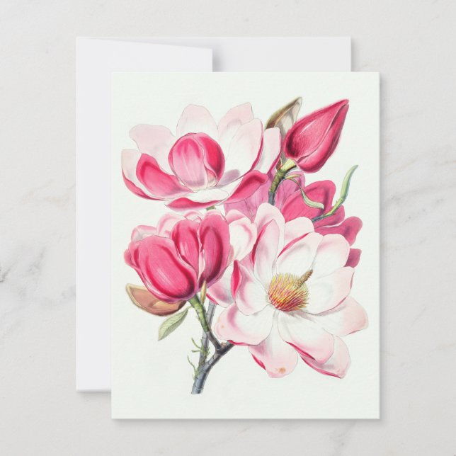 Watercolor Botanical Pink Magnolia Flowers Holiday Card (Front)