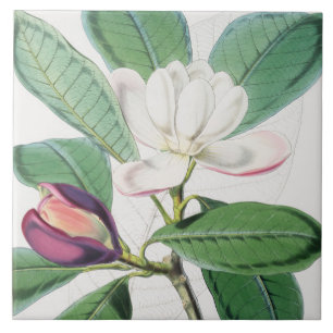 Watercolor Botanical White Magnolia & Green Leaves Ceramic Tile