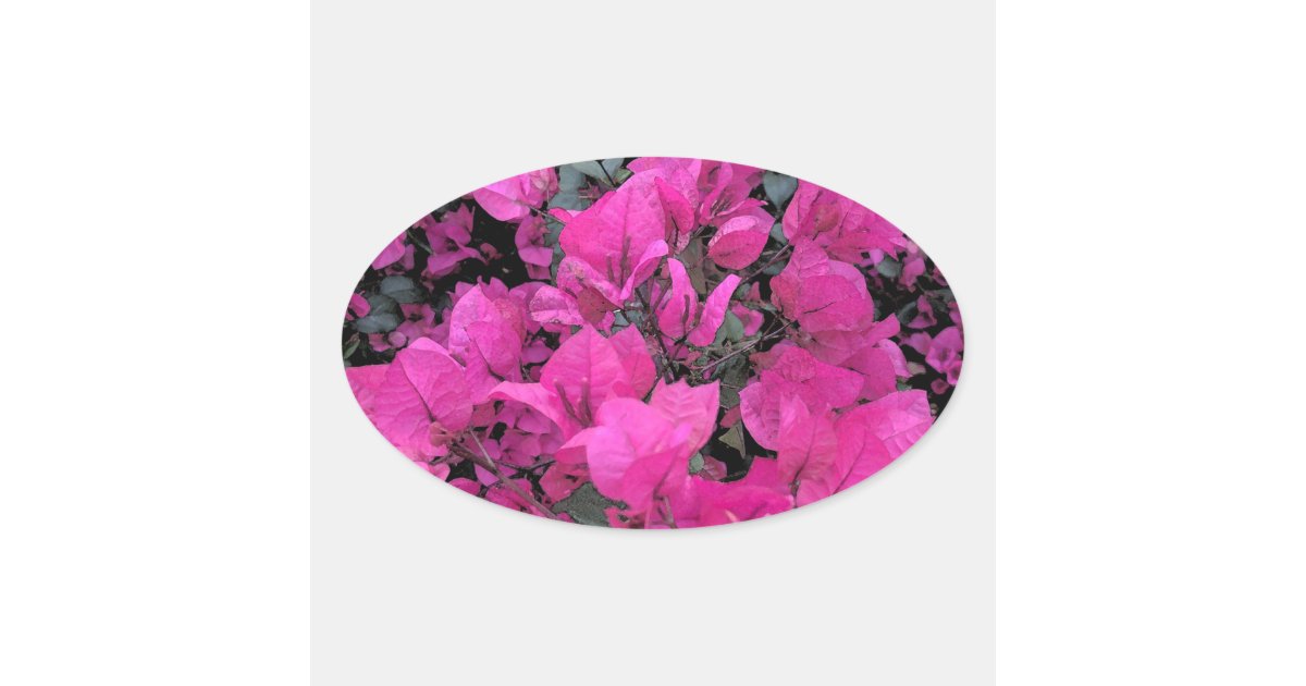 Watercolor-Bougainvillea Oval Sticker | Zazzle
