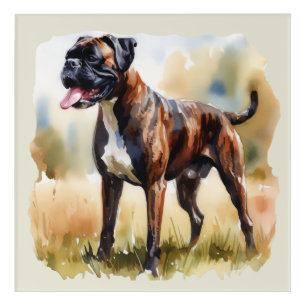 Watercolor Boxer Dog Acrylic Print