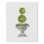 Watercolor Boxwood Topiary In Antique Urn  Faux Canvas Print at Zazzle
