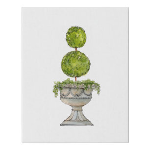 Watercolor Boxwood topiary in antique urn Faux Canvas Print