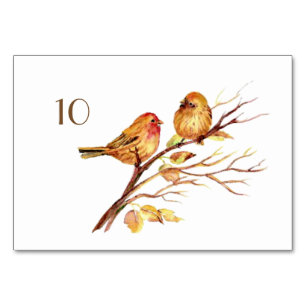 Watercolor Brown Birds Wedding Table Card