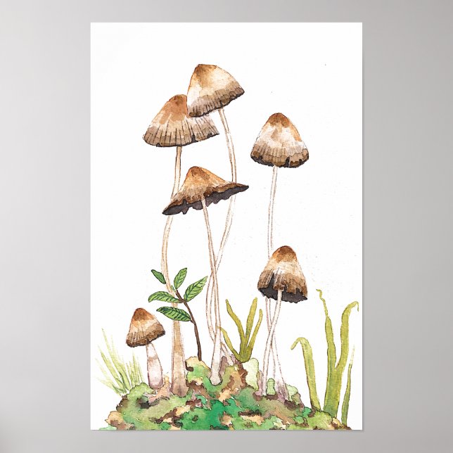 Watercolor Brown Forest Mushrooms Poster (Front)