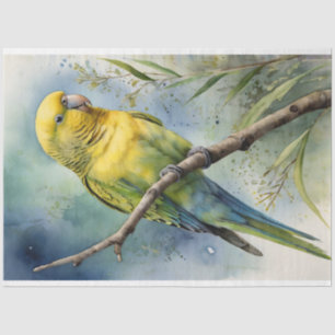 Watercolor Budgie Parakeet Decoupage Tissue Paper