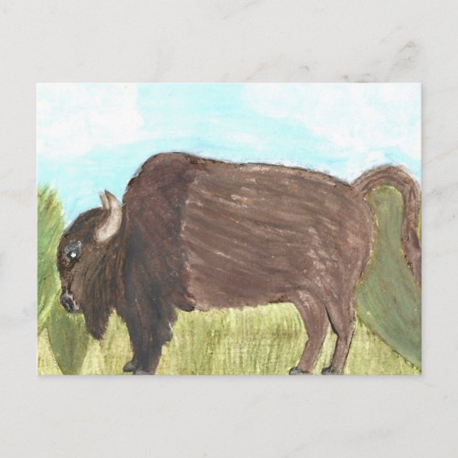 Watercolor Buffalo Post Card | Nature | Unique  (Front)