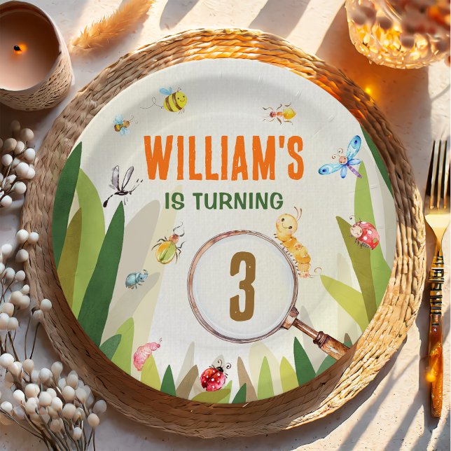 Watercolor Bug Insect Boy Birthday Paper Plates (Creator Uploaded)