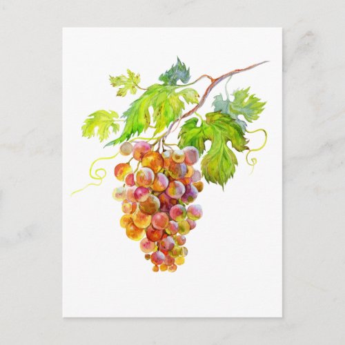 Watercolor Bunch of grapes Art postcard