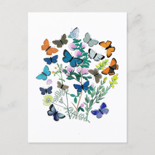Watercolor Butterflies Flowers Spring Summer Postcard