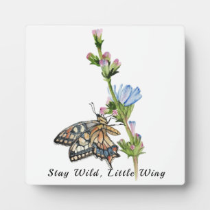 Watercolor butterfly on a chicory flower plaque