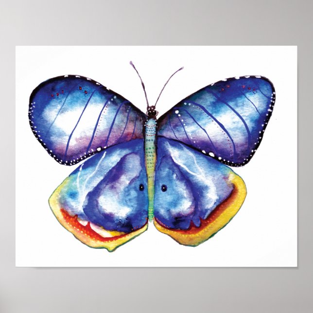 Watercolor Butterfly  Value Poster Paper Print (Front)