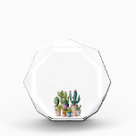 Watercolor Cactus cacti succulents  Acrylic Award<br><div class="desc">Three cute cacti with pink flowers in little terra cotta pots- a fun south western design!
Add text or modify exciting text.</div>