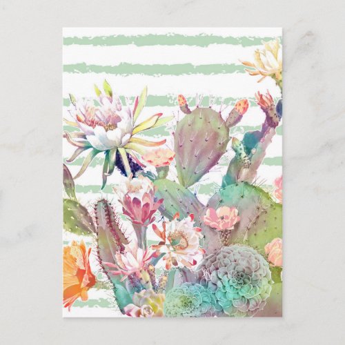 Watercolor Cactus Floral Stripes Design Postcard