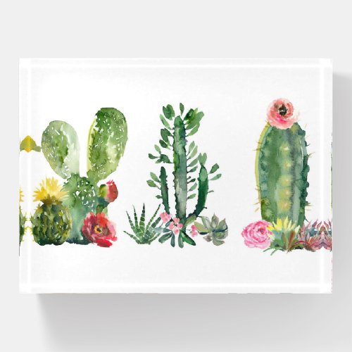 Watercolor Cactus Painting Paperweight