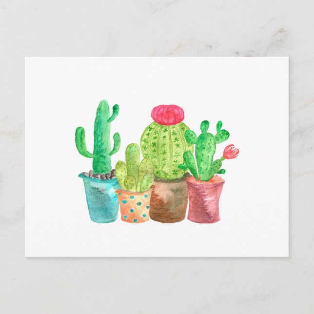Watercolor Cactus Postcard (Front)