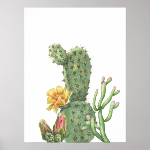 Watercolor Cactus Succulent Garden  Poster