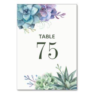 Watercolor Cactus Succulents Wedding Table Number
