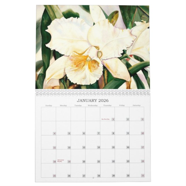 Watercolor Calendar by Sandra Shelton Campbell (Jan 2026)