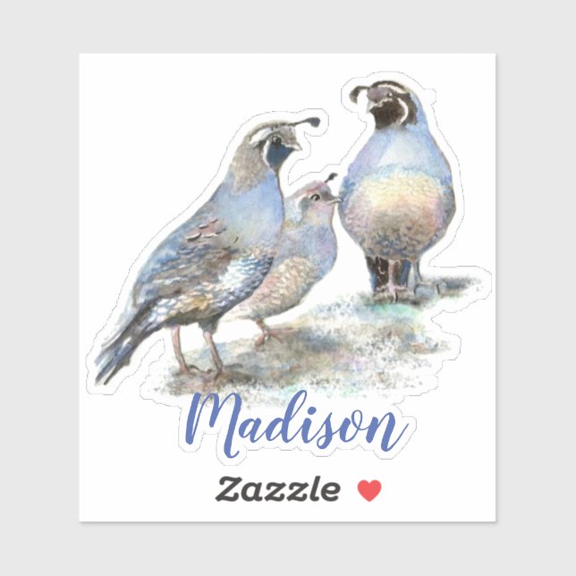 Watercolor California Quail Bird  Custom Name Sticker (Sheet)
