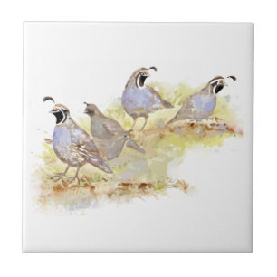 Watercolor California Quail Bird Family art Tile