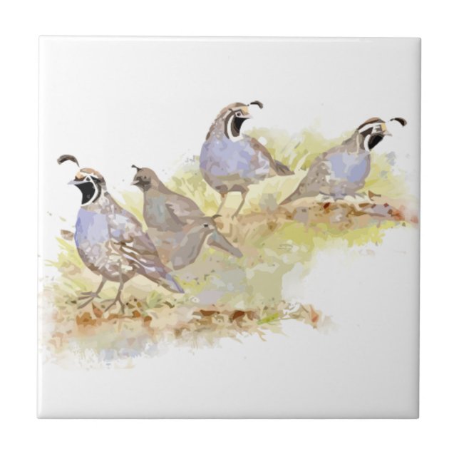 Watercolor California Quail Bird Nature Art Ceramic Tile (Front)