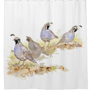 Watercolor California Quail Bird Nature Art Shower Curtain