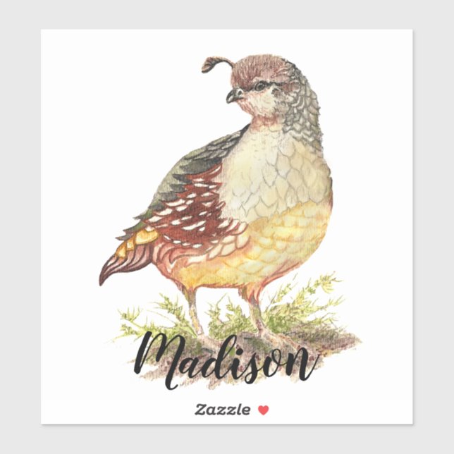Watercolor California Quail Bird Nature Art Sticker (Sheet)